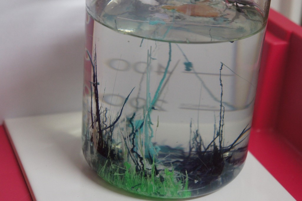 Crystal Garden in a Jam-Jar by Joanna (3)