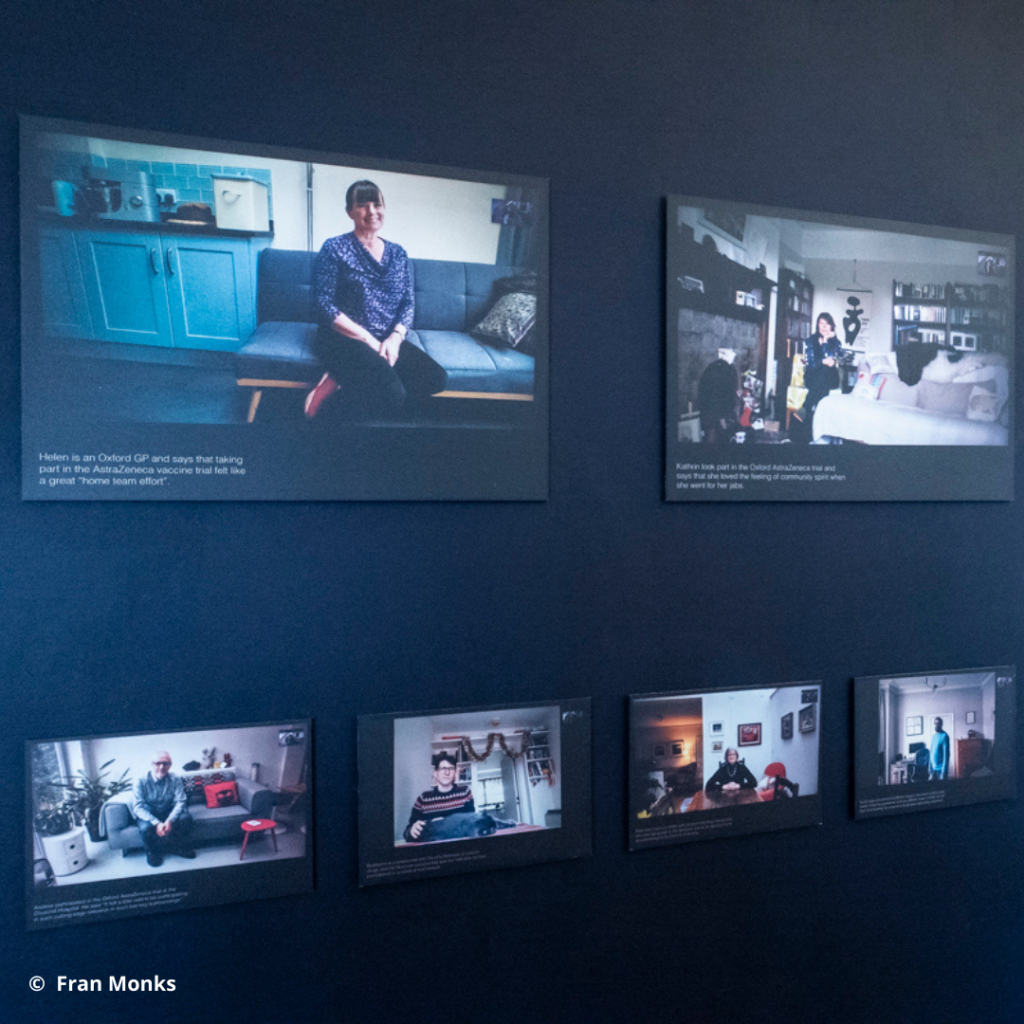 Zoom portraits of Vaccine Trial volunteers by Fran Monks