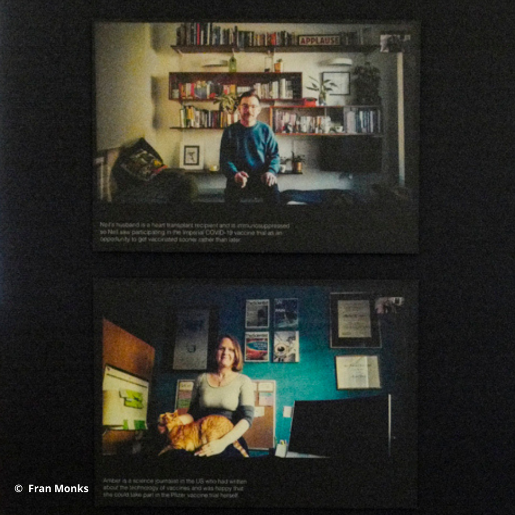 Zoom portraits of Vaccine Trial volunteers by Fran Monks